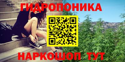 каннабис Сланцы