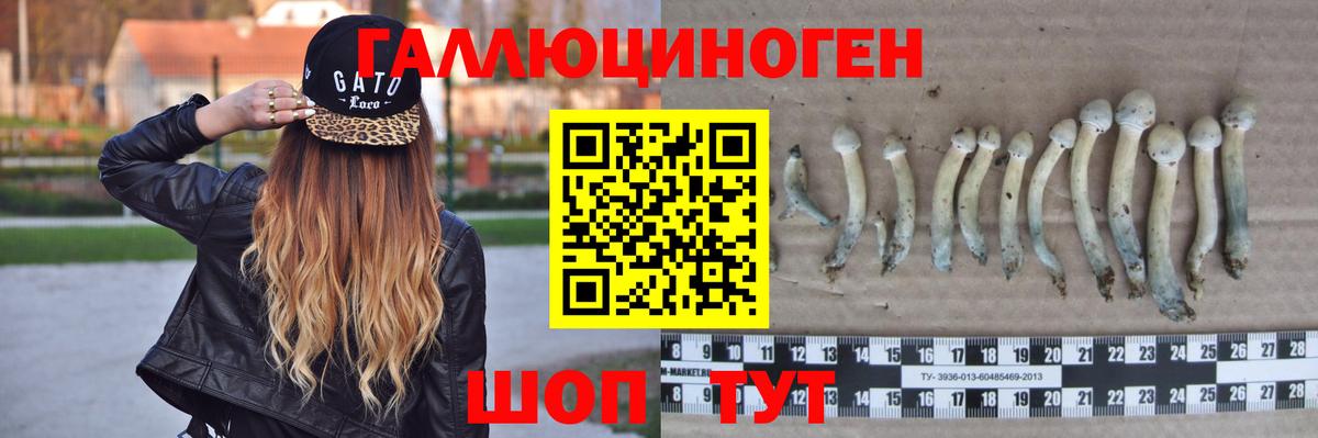 Галлюциногенные грибы мухоморы Стрежевой